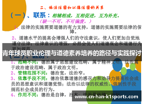 青年球员职业伦理与道德素养培养的路径与实践探讨
