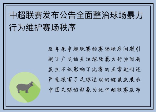 中超联赛发布公告全面整治球场暴力行为维护赛场秩序