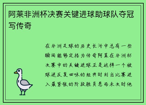 阿莱非洲杯决赛关键进球助球队夺冠写传奇