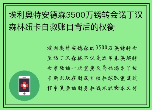 埃利奥特安德森3500万镑转会诺丁汉森林纽卡自救账目背后的权衡